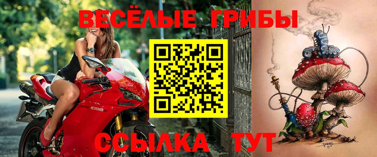 Галлюциногенные грибы Magic Shrooms  Вход с VPN  Ревда 